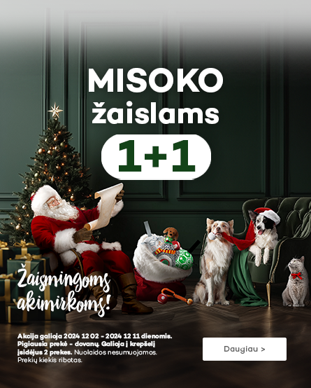 MISOKO žaislai 1+1