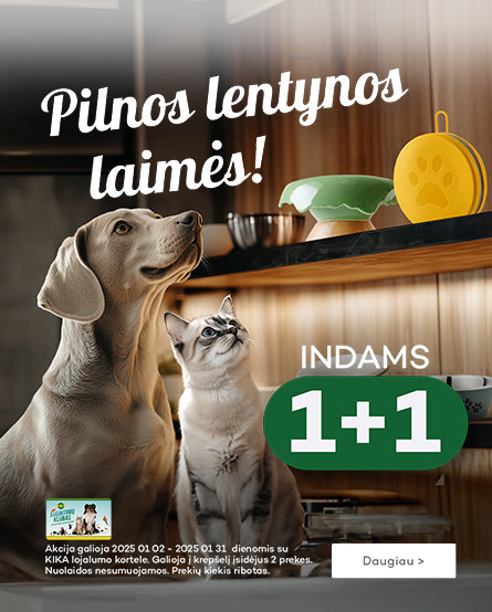 Indams 1+1! (01.02-31)