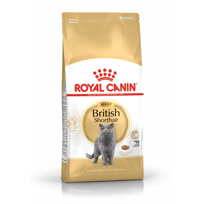 ROYAL CANIN Britų trumpaplaukių veislės suaugusių kačių sausas pašaras 