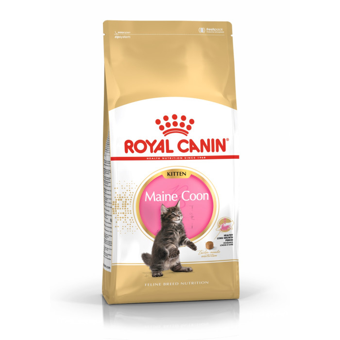 ROYAL CANIN Meino meškėnų veislės kačiukų sausas pašaras 