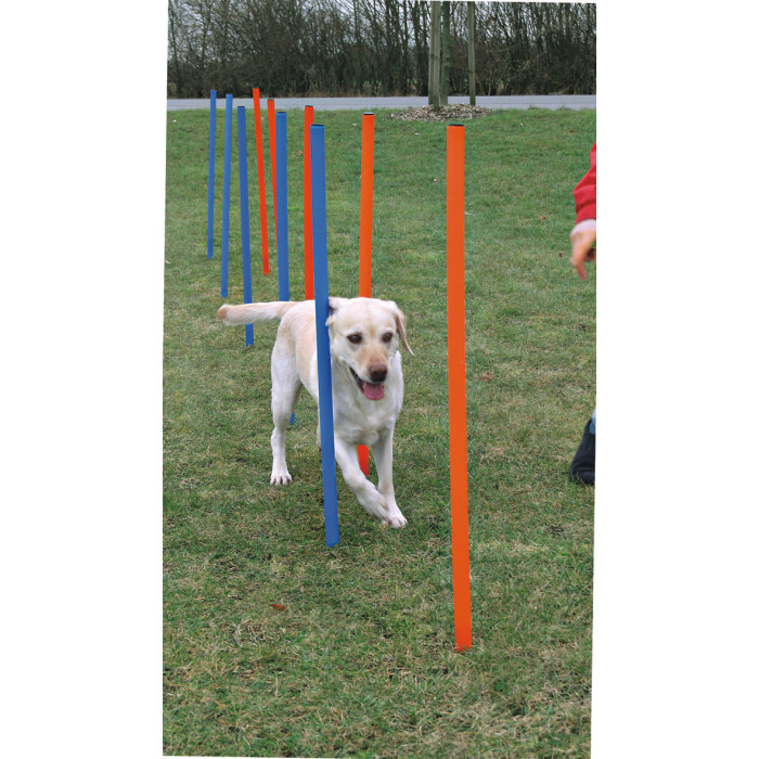 TRIXIE AGILITY inventorius 