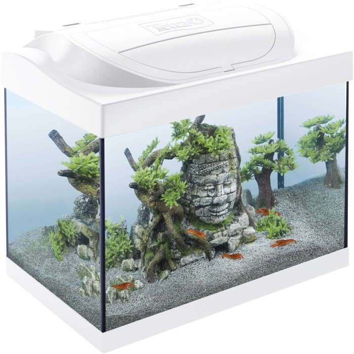 TETRA Starter Line LED Crayfish akvariumo rinkinys, 30 L 