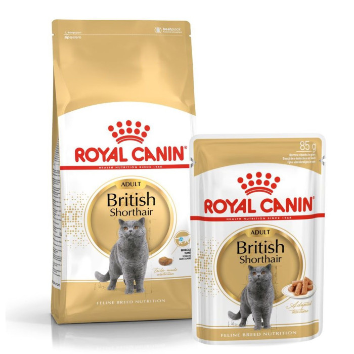 ROYAL CANIN Britų trumpaplaukių veislės suaugusių kačių sausas pašaras 