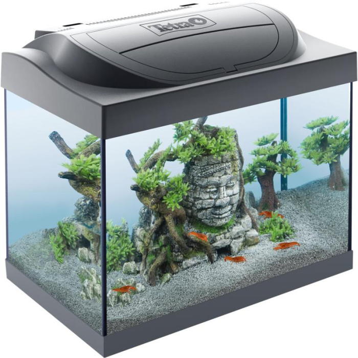 TETRA Starter Line LED Crayfish akvariumo rinkinys, 30 L 