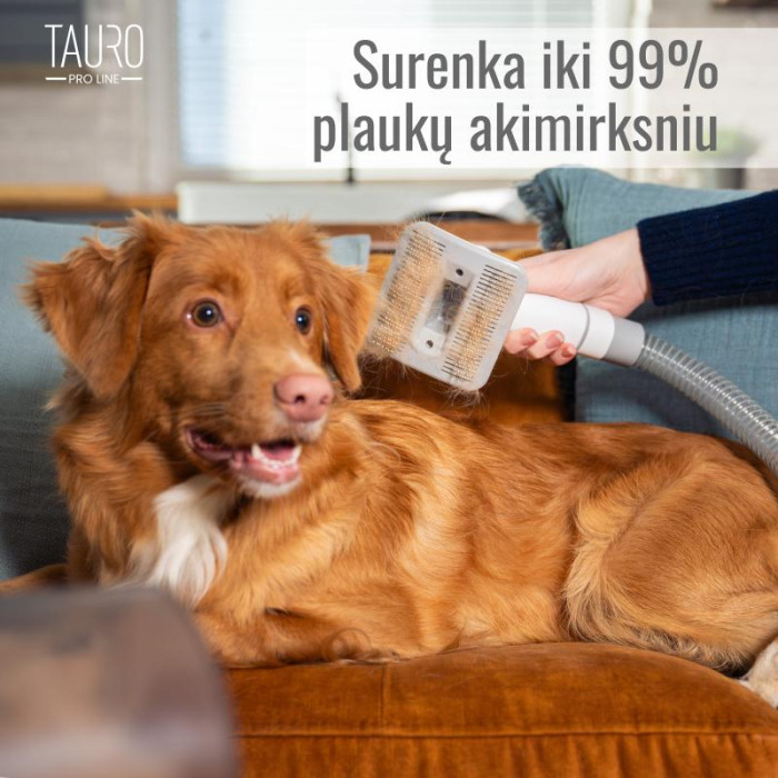 TAURO PRO LINE 7in1 gyvūnų augintinių kailio priežiūros rinkinys 