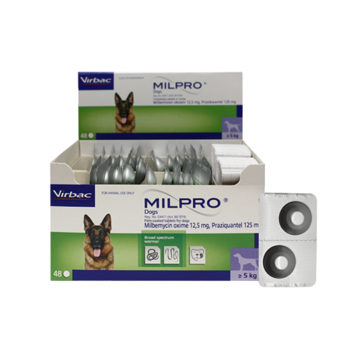 MILPRO 12,5 mg/125 mg, dengtos tabletės šunims 