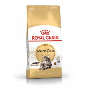 ROYAL CANIN Meino meškėnų veislės suaugusių kačių sausas pašaras 4 kg