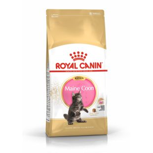 ROYAL CANIN Meino meškėnų veislės kačiukų sausas pašaras 2 kg