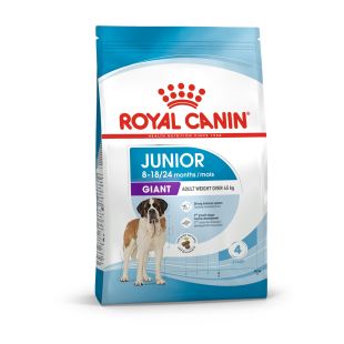 ROYAL CANIN labai didelių veislių, jaunų šunų sausas pašaras 15 kg