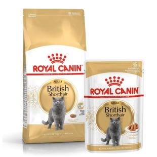 ROYAL CANIN Britų trumpaplaukių veislės suaugusių kačių sausas pašaras 2 kg+6 vnt. konservų