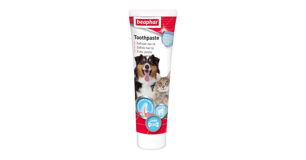 beaphar dog toothpaste