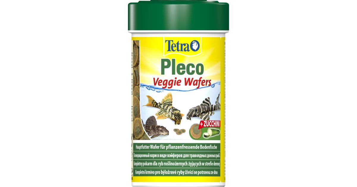 tetra pleco wafers